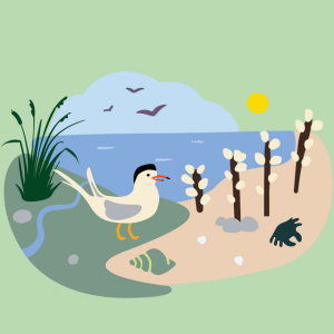 seaside graphic